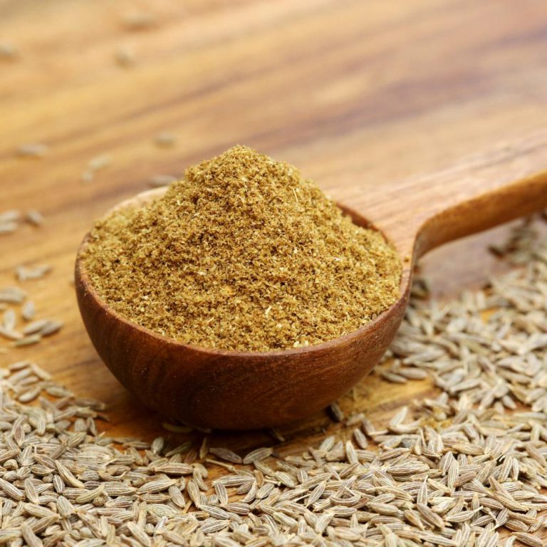 Spices SpiceGnome